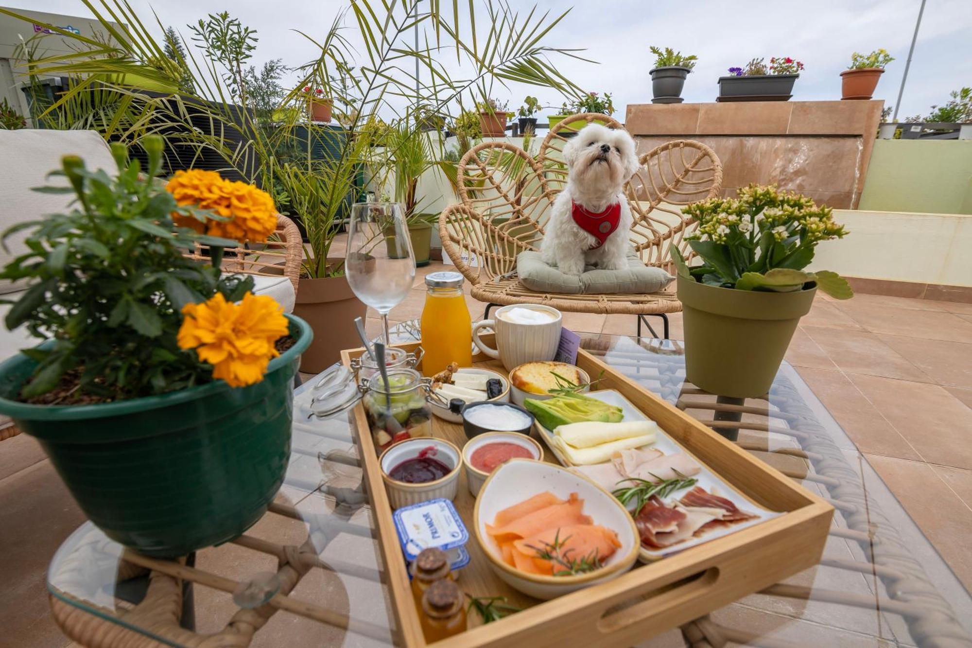 Growersgo Boutique Hostel Уелва Екстериор снимка